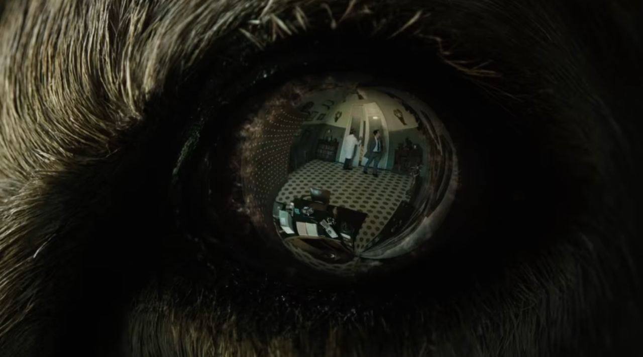 Кадр из материала к обзору «Лекарство от здоровья»